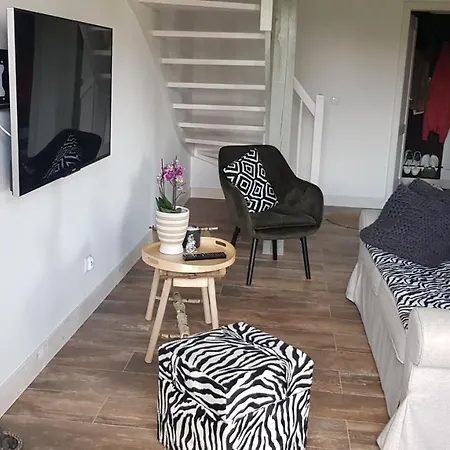 Mietowa Zaba Ostoja Bukowo 20 Kaszuby * Borowy Mlyn