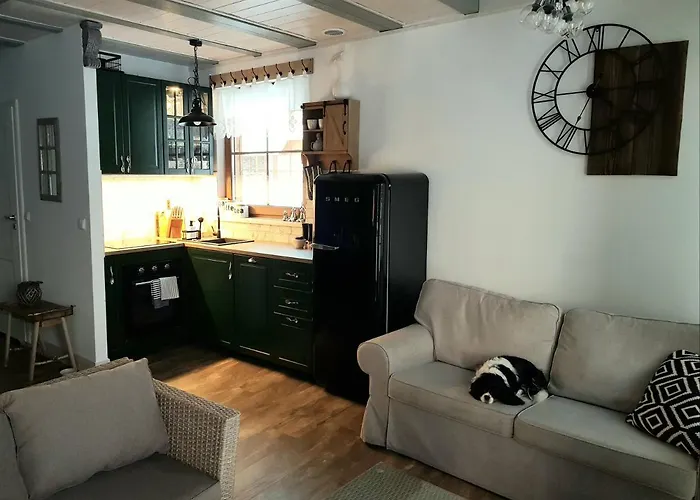 Mietowa Zaba Ostoja Bukowo 20 Kaszuby Borowy Mlyn